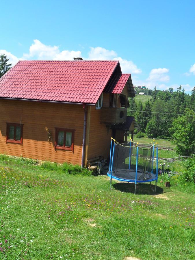 Villa Lisovychok Worochta Exterior foto