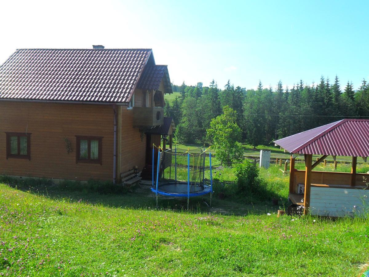 Villa Lisovychok Worochta Exterior foto